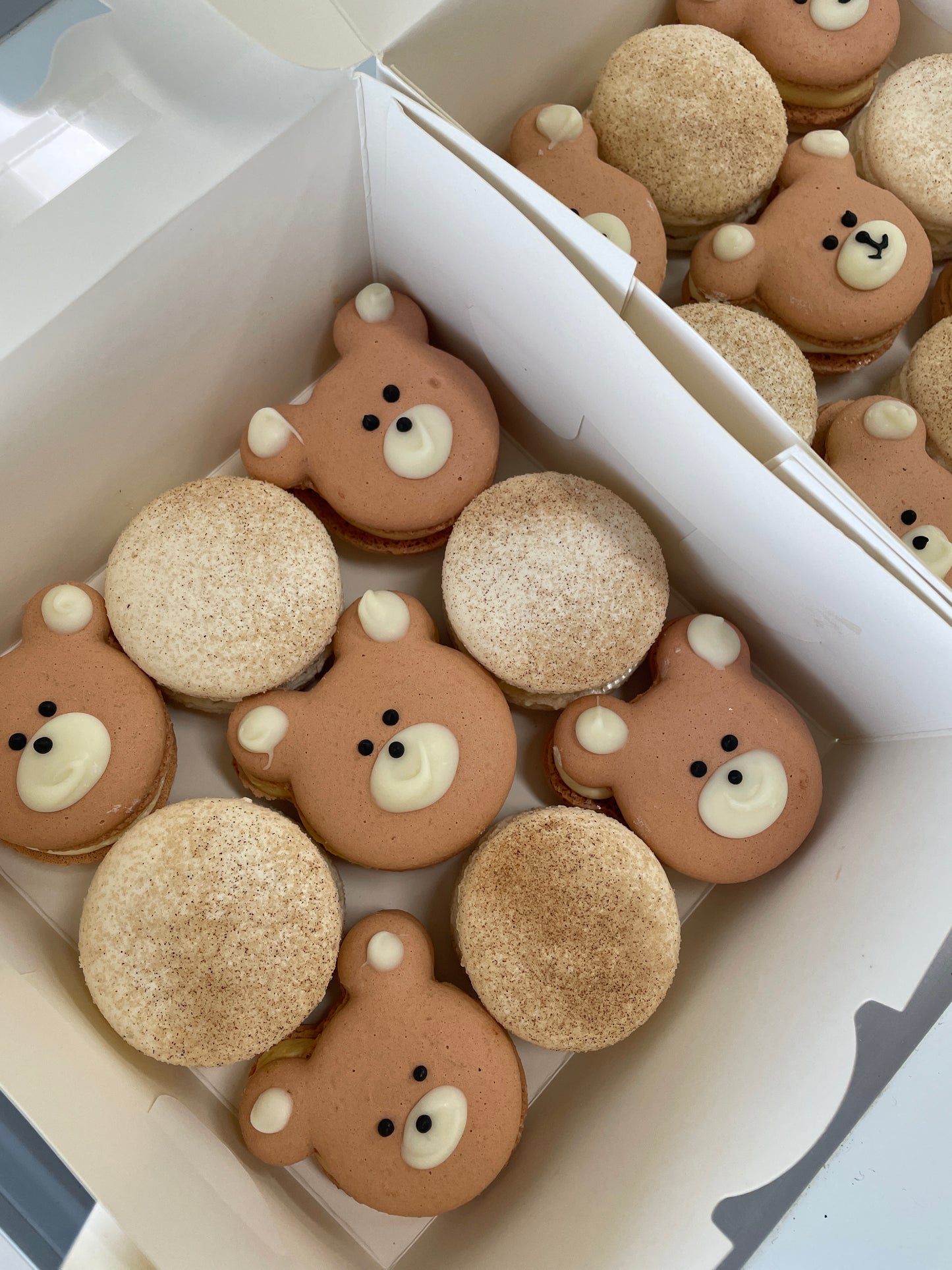 Teddy bear macarons
