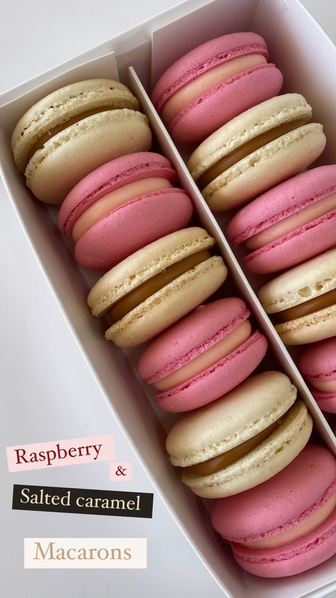 12 Macaron Box